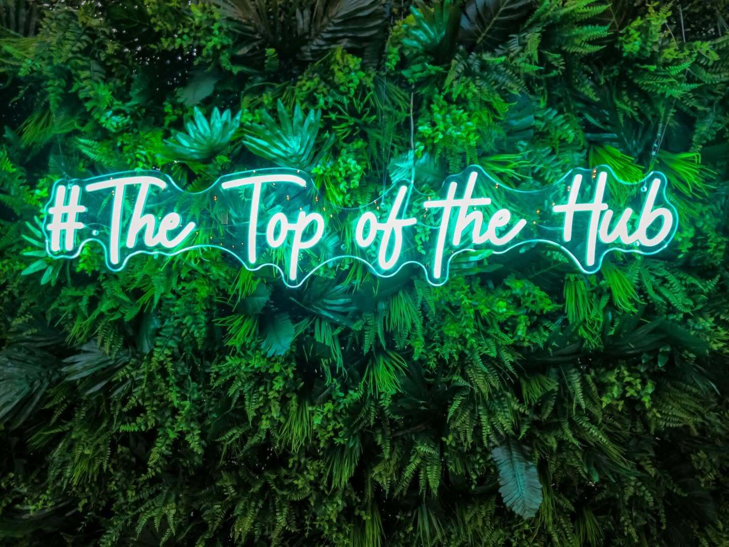 topofhub